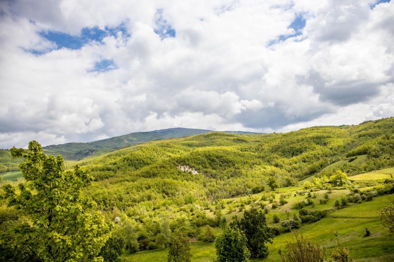 Nido D'Amore Nei Colori Dernice Екстериор снимка