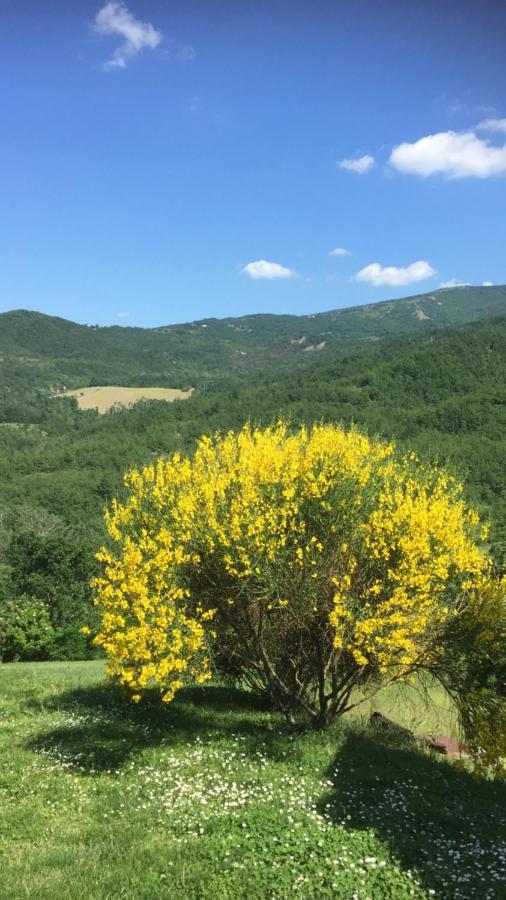 Nido D'Amore Nei Colori Dernice Екстериор снимка